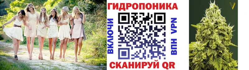 Конопля MAZAR  Заозёрск 